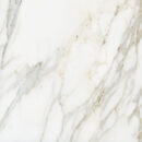 APAVISA BORGHINI WHITE POLISHED 60x60 P4 LR