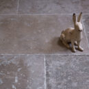 Agencourt Limestone Seasoned