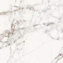 CALACATTA VIOLA-100X100-p4