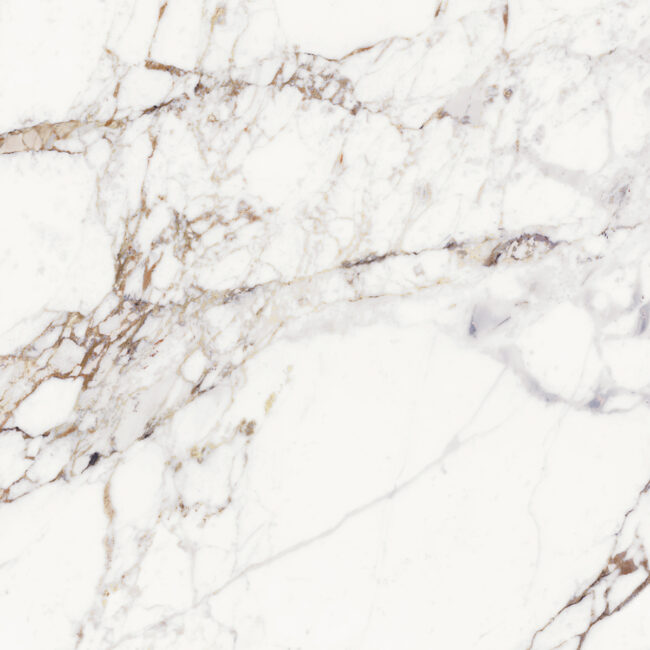 CALACATTA VIOLA-100X100-p4